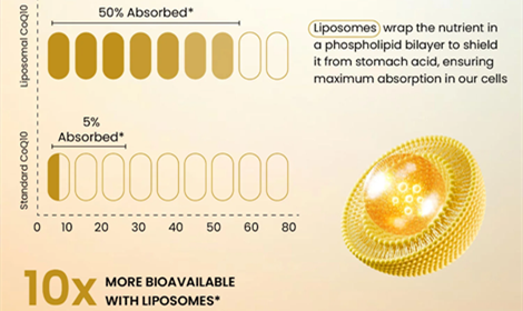 Why Liposomal Delivery Makes Coenzyme Q10 More Effective?